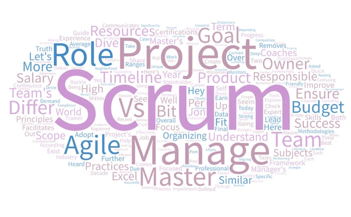 The Role of a Scrum Project Manager in Agile Project Management