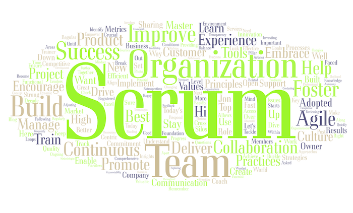 Building a Scrum Organization: Strategies and Best Practices