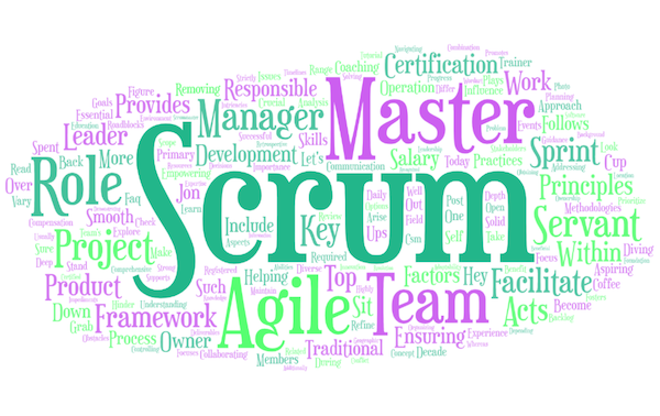 Defining the Scrum Master: A Comprehensive Analysis of the Role